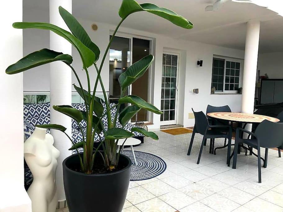 Pura Vida Strandnahes Ferienappartment In Bester Lage! Puerto de la Cruz  Eksteriør billede